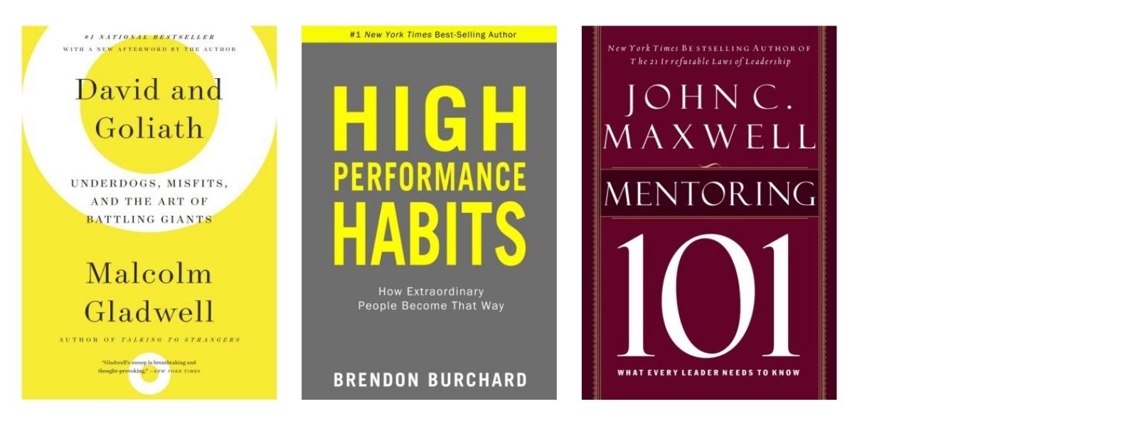 David Goliath High Performance Habits Developing Mentoring Book Covers David Goliath High Performance Habits Developing Mentoring Book Covers