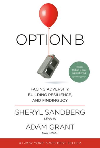Option B Book Cover